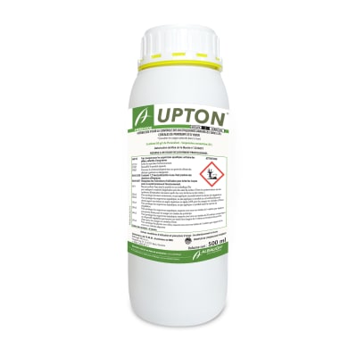UPTON - Image 1