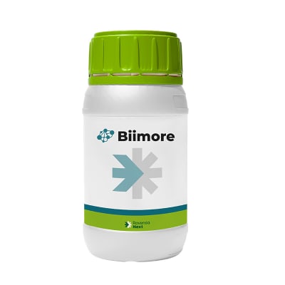 BIIMORE - Image 2