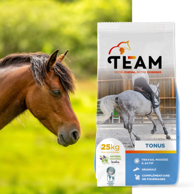 Team equi tonus - Image 1