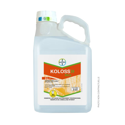 KOLOSS XTRA - Image 1