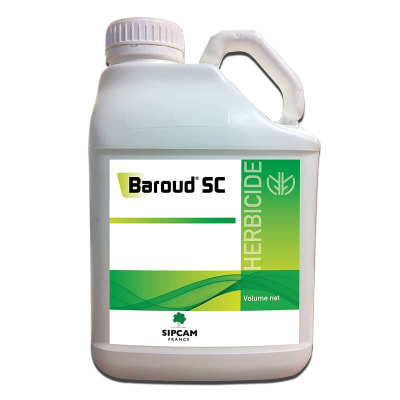 BAROUD SC - Image 1