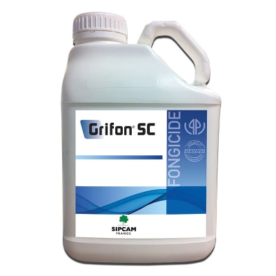 GRIFON SC - Image 1
