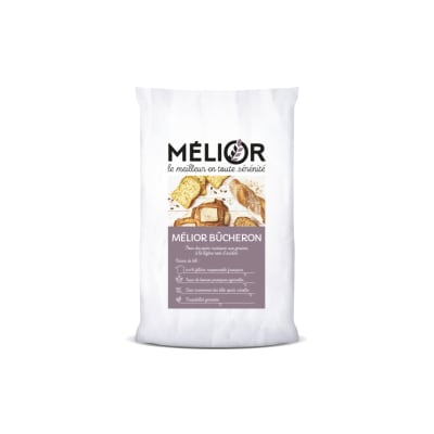 Le Bûcheron - Image 1