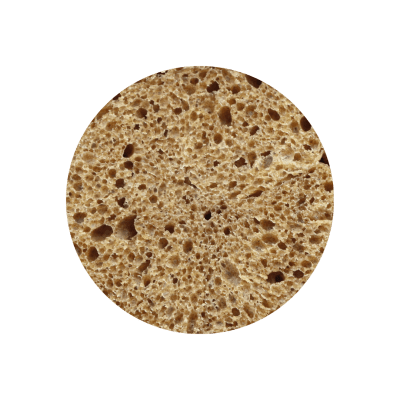 Cèpes - Image 1