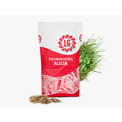 ALICIA - Image 1