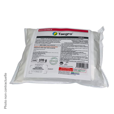 TAEGRO - Image 1
