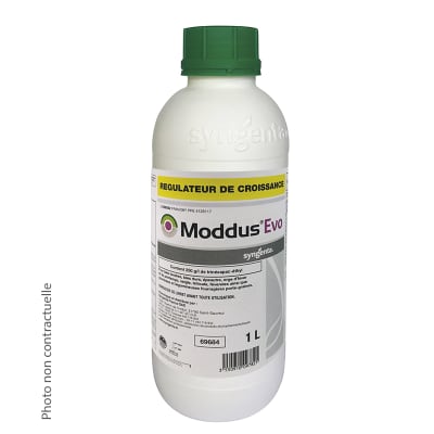 MODDUS EVO - Image 1