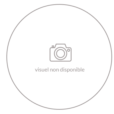 Capot de protection volucompteur - inox - Image 1