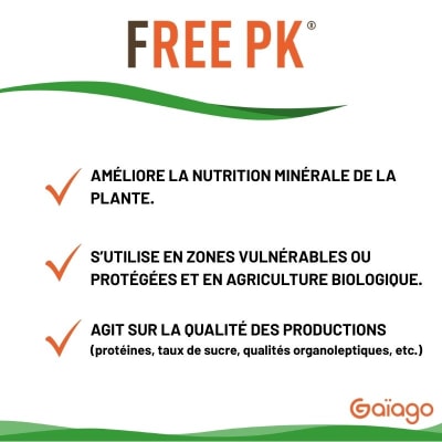 FREE PK - Image 5