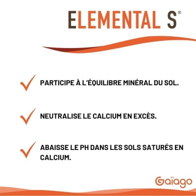 ELEMENTAL S - Image 2