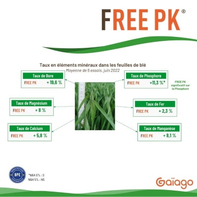 FREE PK - Image 2