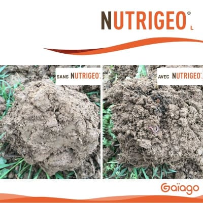 NUTRIGEO L - Image 2