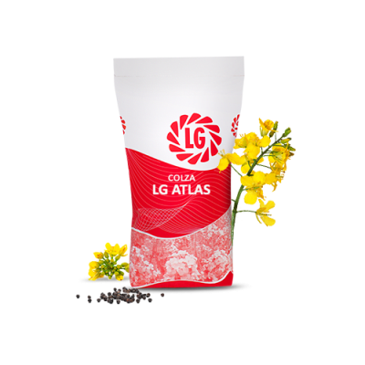 LGAT.LAS - Image 1