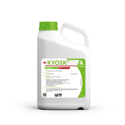 KYOSK - Image 1