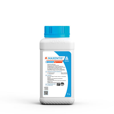 MAXENTIS - Image 1