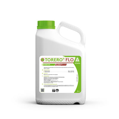 TORERO FLO - Image 1
