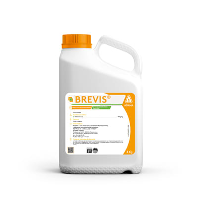 BREVIS - Image 3
