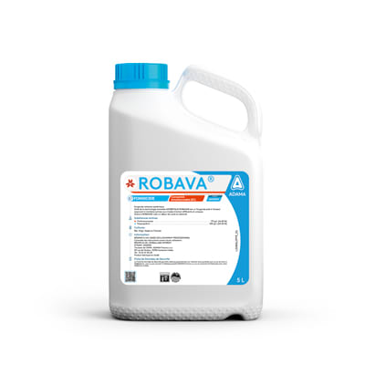 ROBAVA - Image 1
