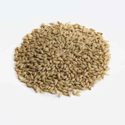 Great Western Malting Organic Superior Pilsen Malt - Image 1