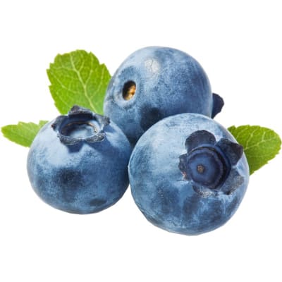 Mane Blueberry Fruit Flavor - Natural - Image 1