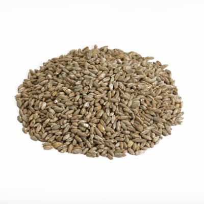 Canada Malting Century Rye Malt - Image 1