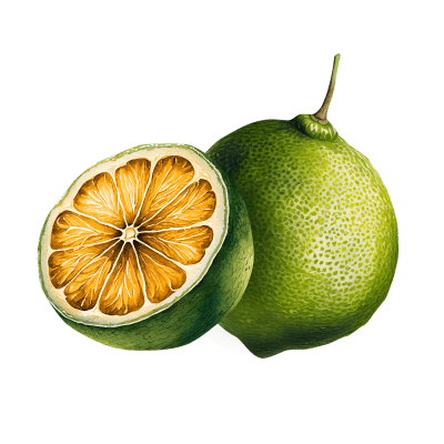Oregon Fruit Puree - Key Lime - Image 1