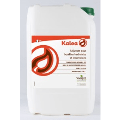KALEA - Image 1