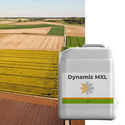 DYNAMIZ MXL - Image 1