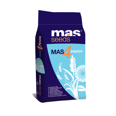 MAS4 ENERGY SUMMER - Image 1