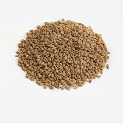 Bestmalz Wheat Malt - Image 2
