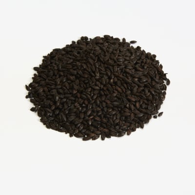 Briess Malting Black Malt - Image 2