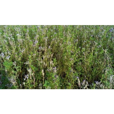 Farmstar COUVERTS - Image 1