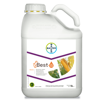 Best-a Maïs - Image 1