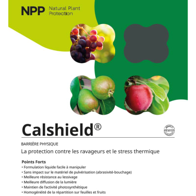 CALSHIELD - Image 1