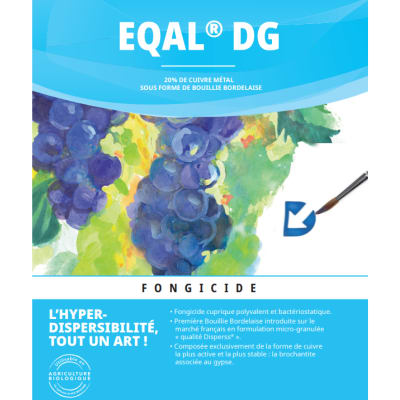 EQAL DG - Image 1