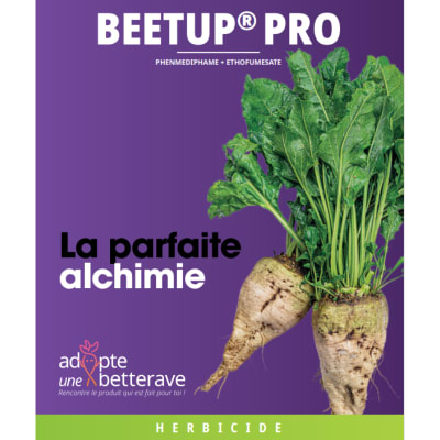 BEETUP PRO - Image 1