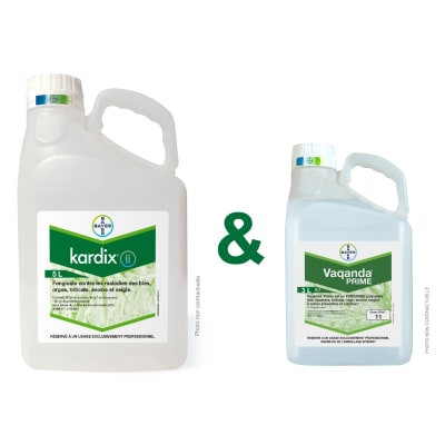 KARDIX P604 NEW PACK - Image 1