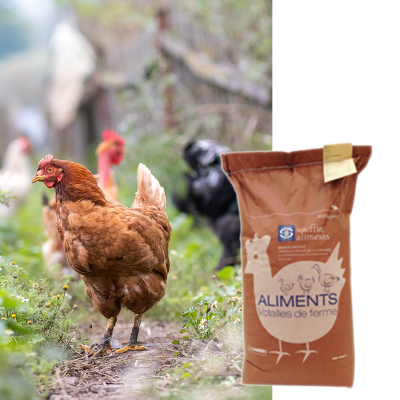 BELBETE SOUFFLET SM - Image 1