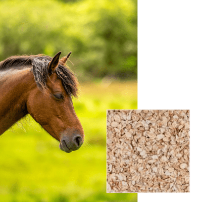 ORGE FLOCONNE - Image 1