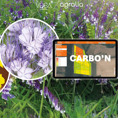 CARBO'N - Image 1