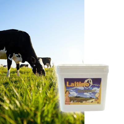 LAITINO - Image 1