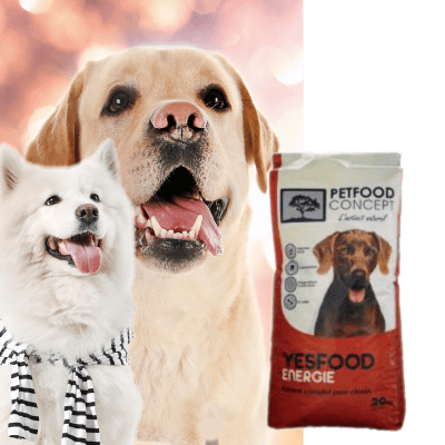YESFOOD ACTIVITE - Image 1