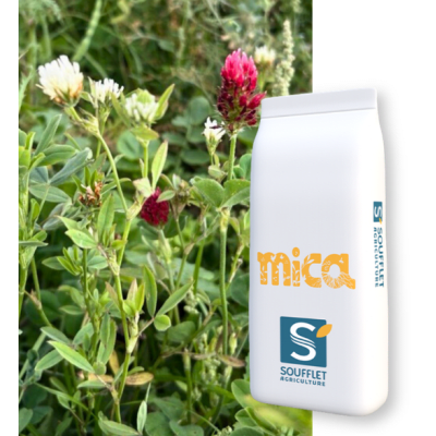 MICA BIO - Image 1