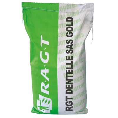 RGT DENTELLE - Image 1