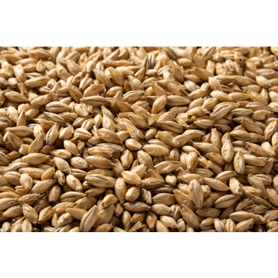Briess Malting Pilsen Malt - Image 1