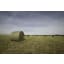 XXID Filet Round Baler - Image 3