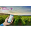 Movida GrapeVision - Image 1