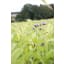 FABAFIT - Image 1