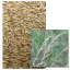 Fétuque Elevée gazonnante - Image 1