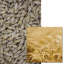 RGT PLANET BIO - Image 1